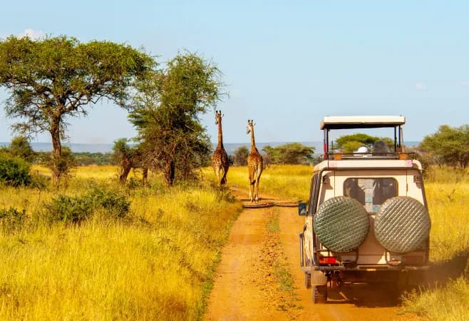 Aberdare National Park Safari destination photo 1