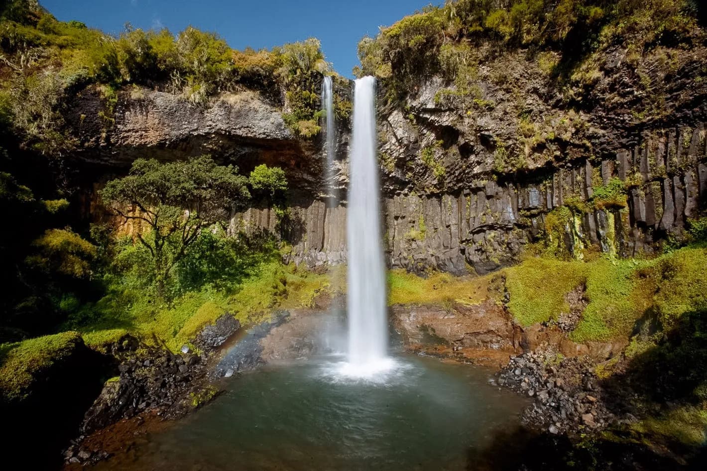 Aberdare National Park Safari destination photo 3