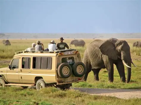 Amboseli National Park destination photo 1