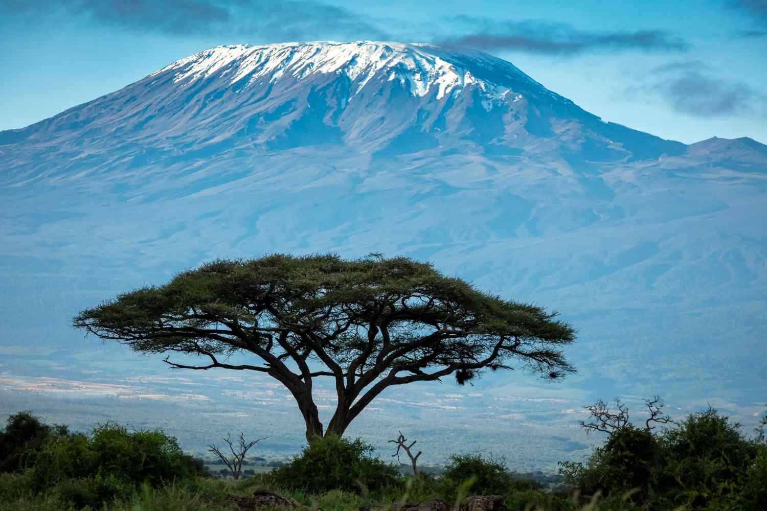 Amboseli National Park destination photo 3