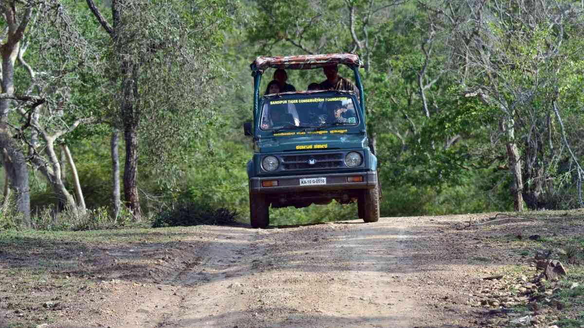 Bandipur National Park destination photo 2