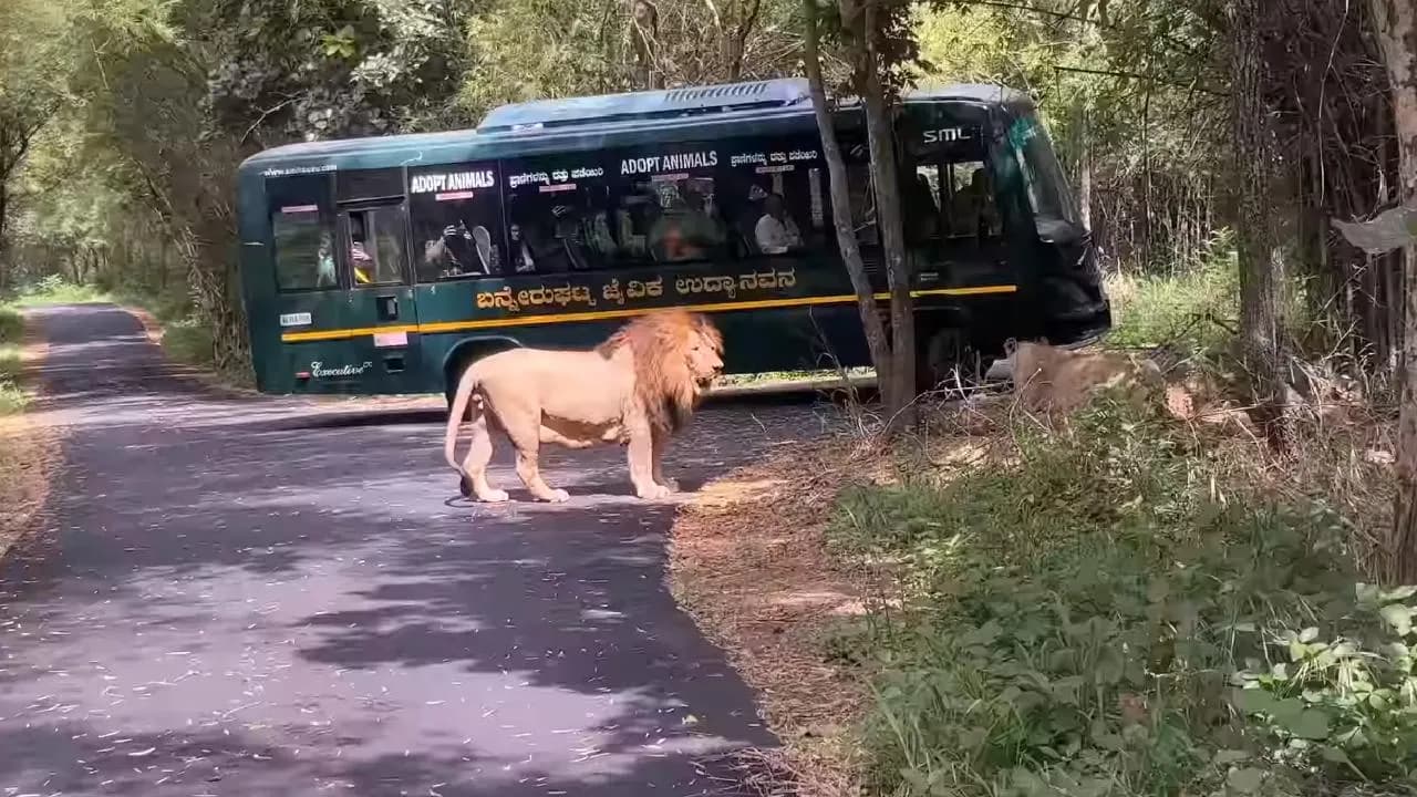 Bannerghatta National Park destination photo 1