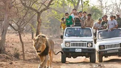 Bannerghatta National Park Safari visual card