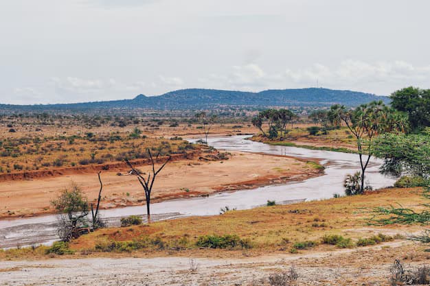 Buffalo Springs National Reserve Safari destination photo 3