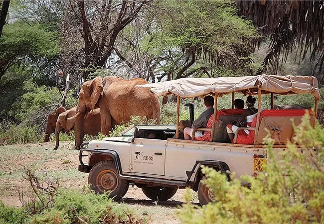 Buffalo Springs National Reserve Safari destination photo 1
