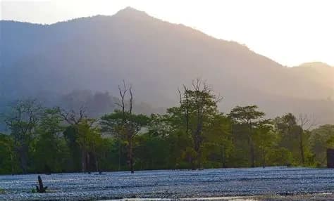 Buxa Tiger Reserve destination photo 3