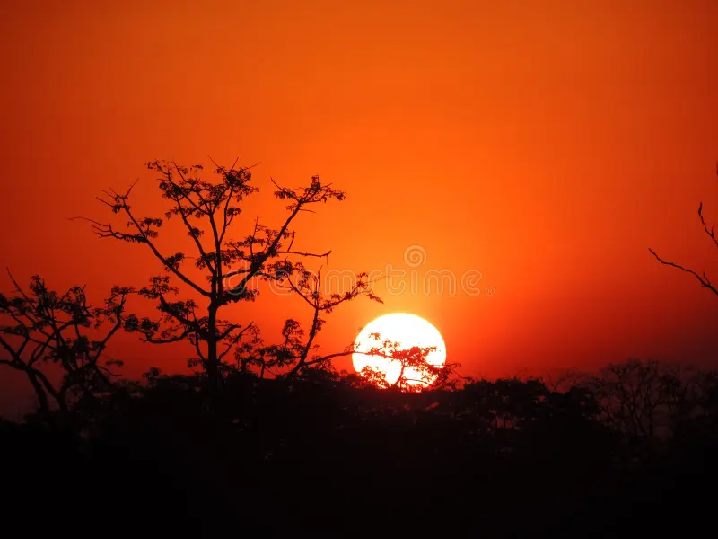 Buxa Tiger Reserve Safari visual card