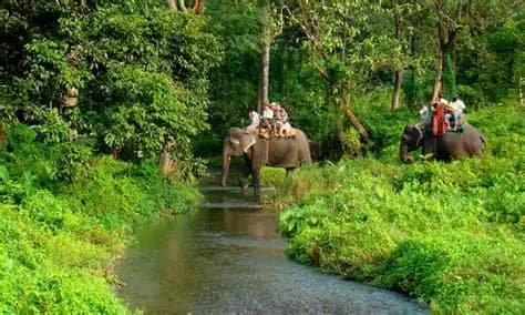 Chilapata Forest destination photo 1