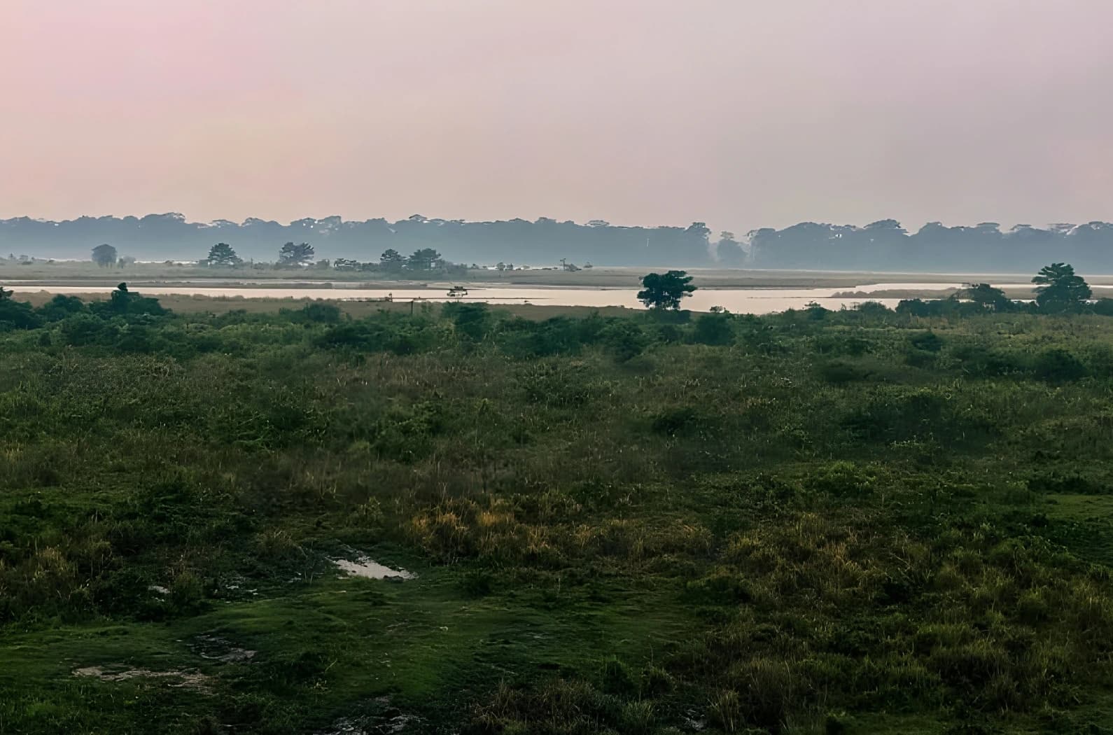 Chilapata Forest Safari sidebar feature