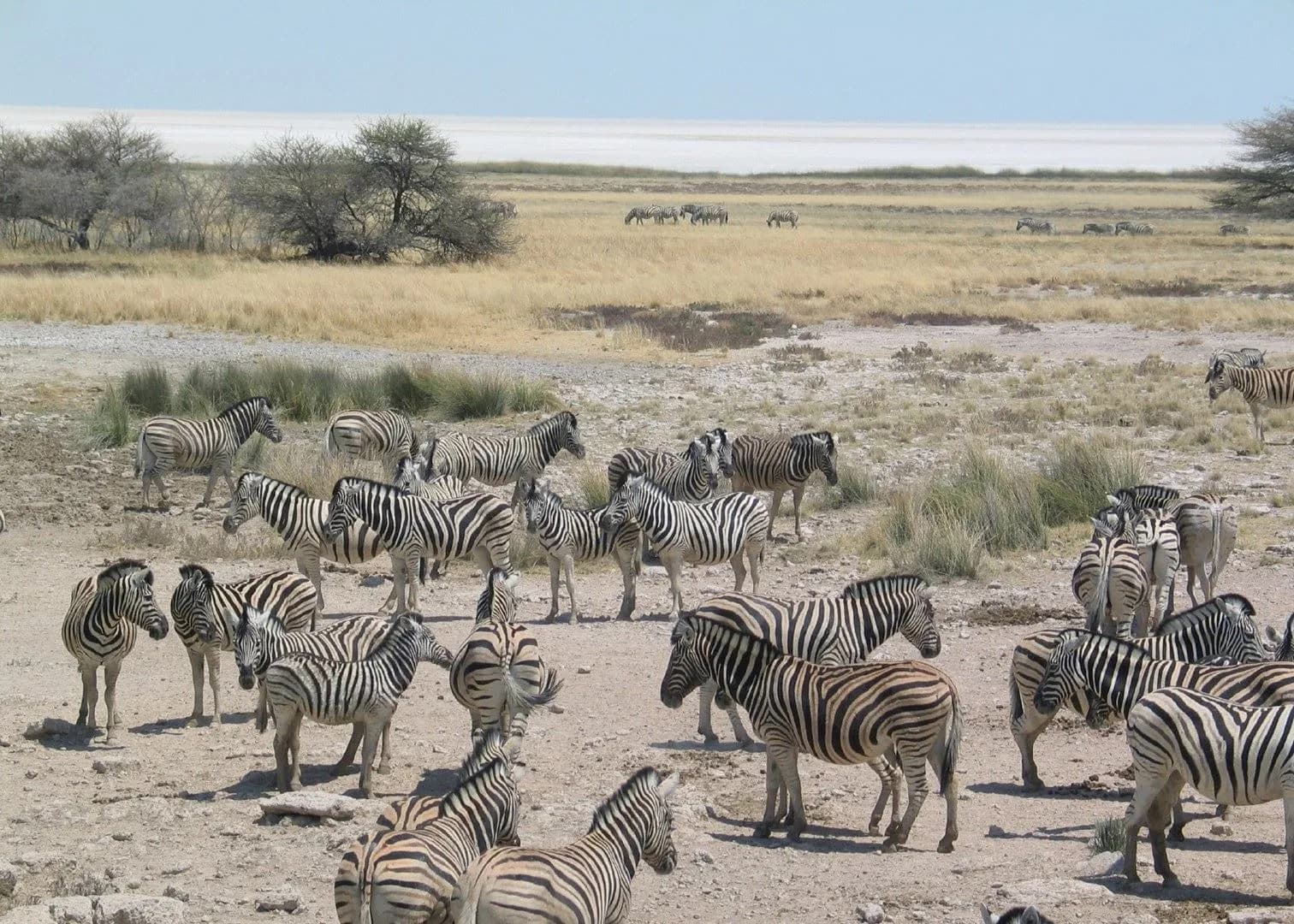 Etosha National Park destination photo 2