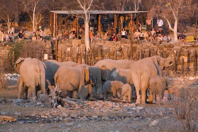Etosha National Park Safari visual card