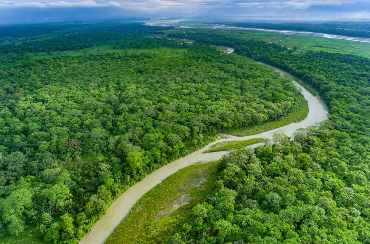 Jaldapara National Park destination photo 2