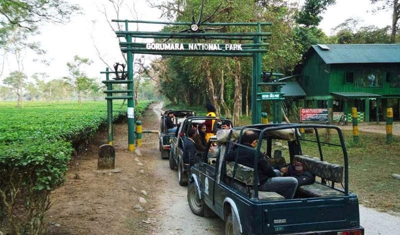 Jaldapara National Park destination photo 3