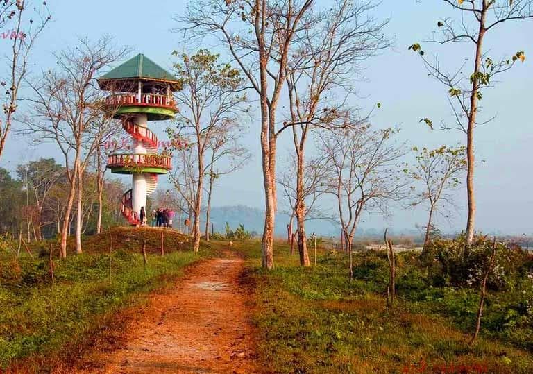 Jaldapara Jungle Safari FAQ visual