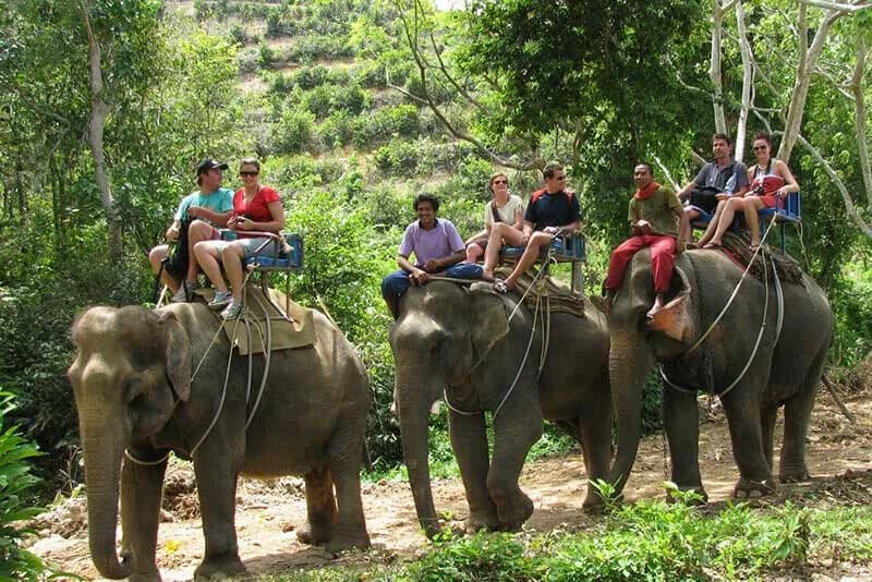 Jim Corbett National Park destination photo 3