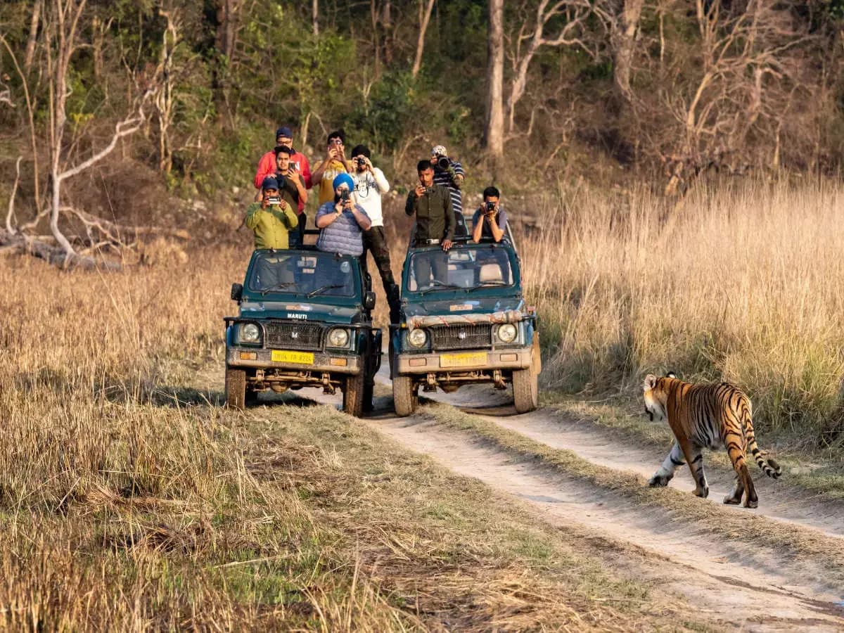 Jim Corbett National Park destination photo 1