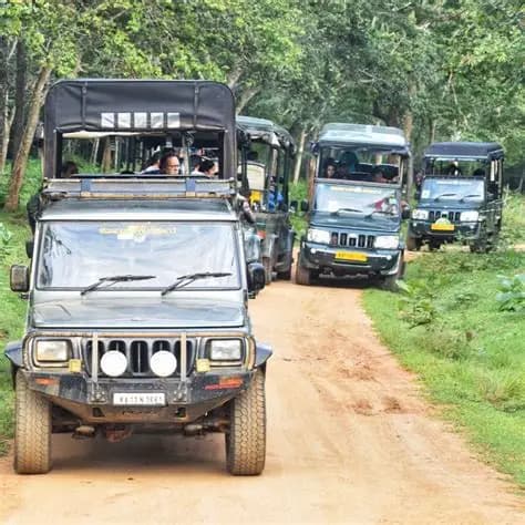 Kabini Wildlife Sanctuary Safari sidebar feature