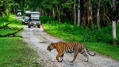 Kabini Wildlife Sanctuary destination photo 1