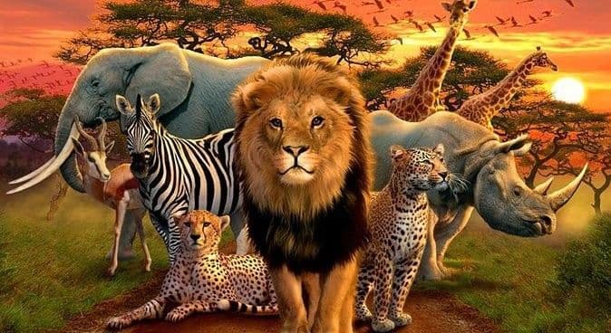 Kruger National Park destination photo 2