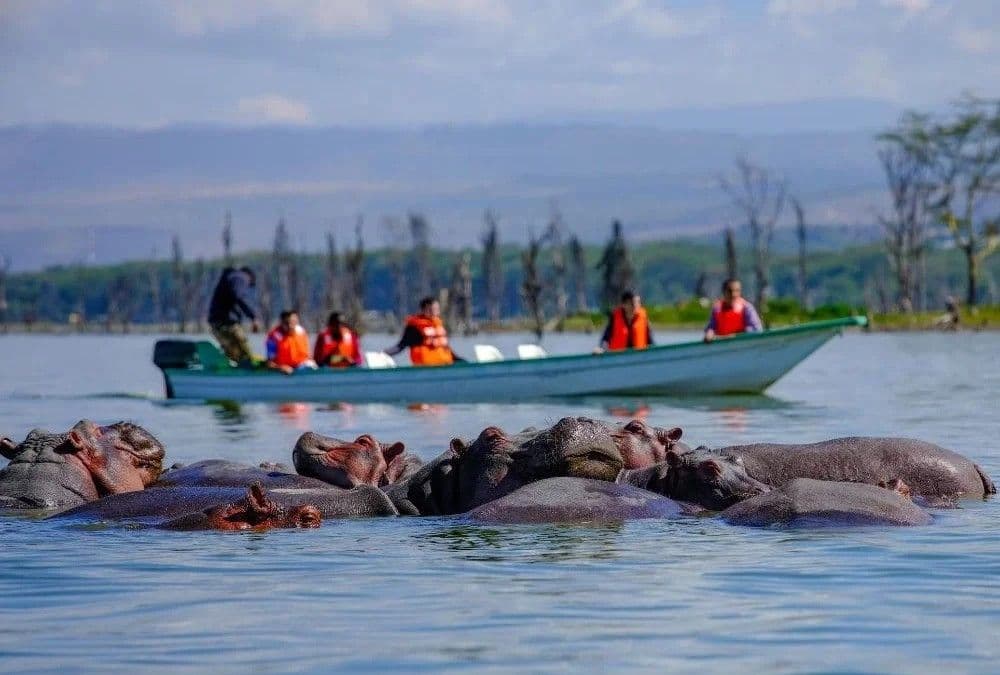 Lake Naivasha destination photo 1