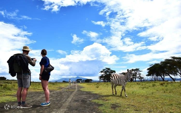 Lake Naivasha destination photo 3