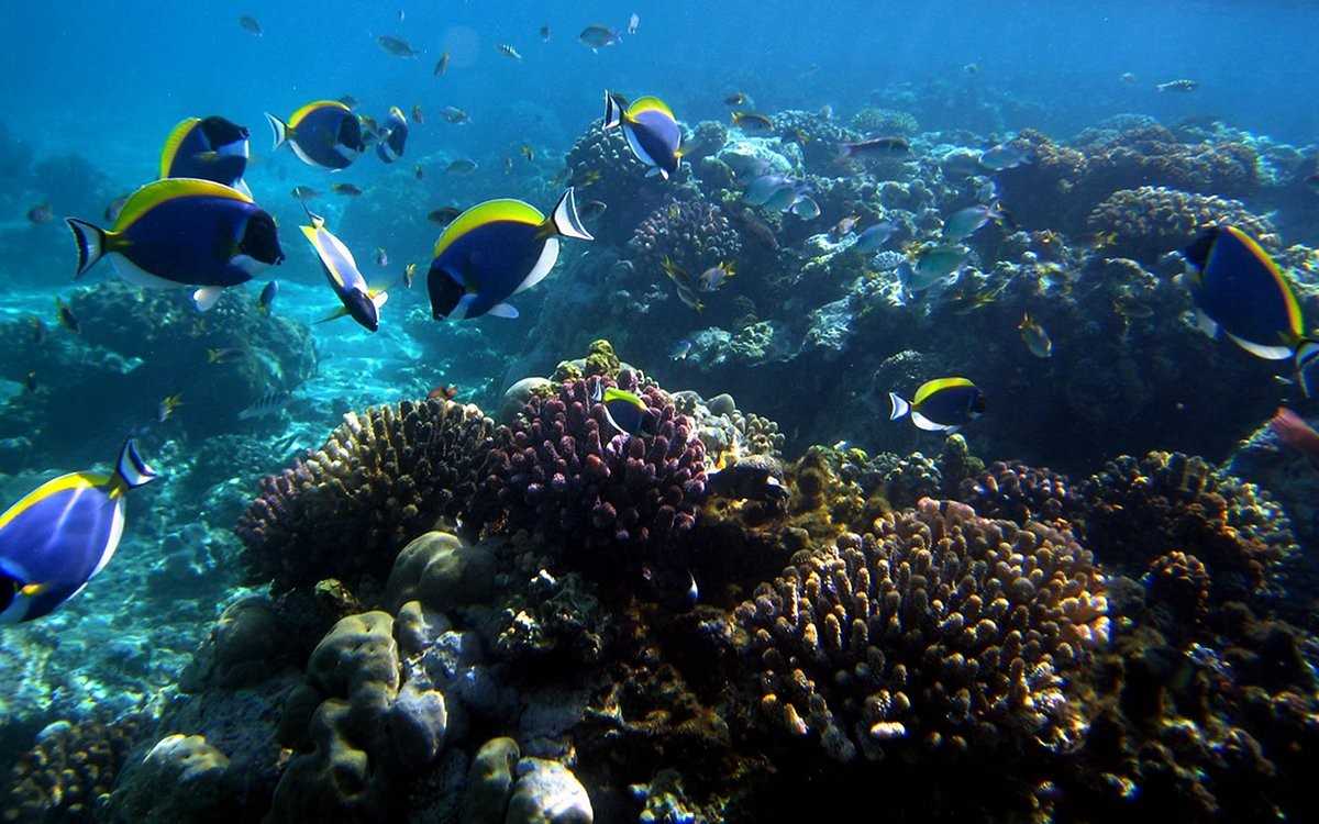 Mombasa Coastal & Safari destination photo 2