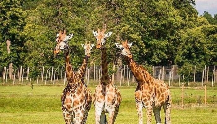 Nairobi destination photo 3