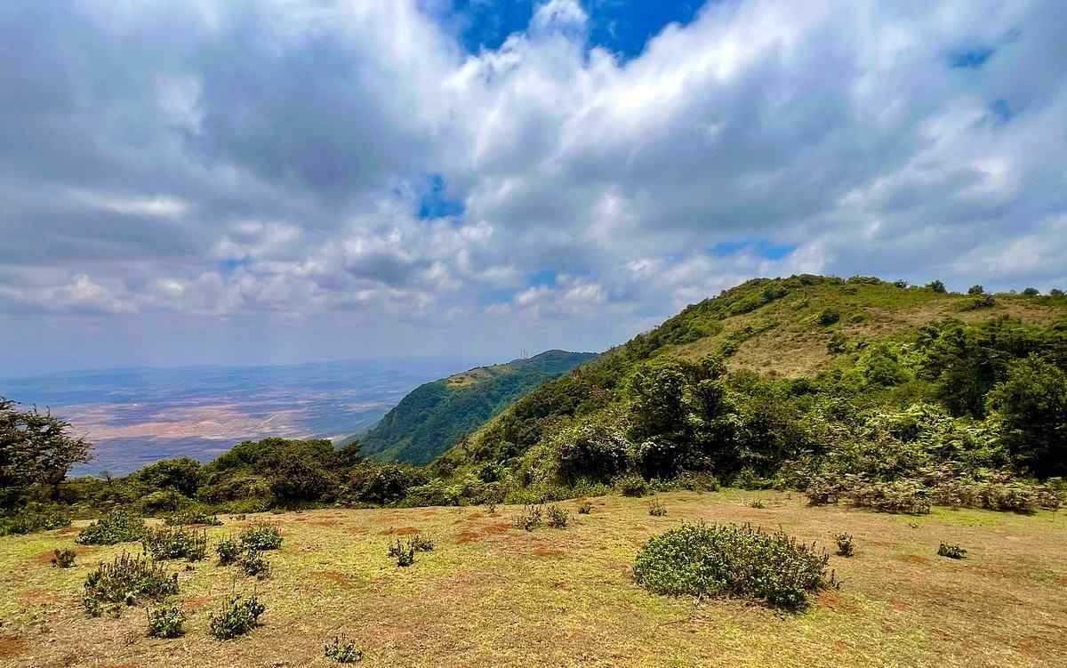 Nairobi Wildlife Escape FAQ visual