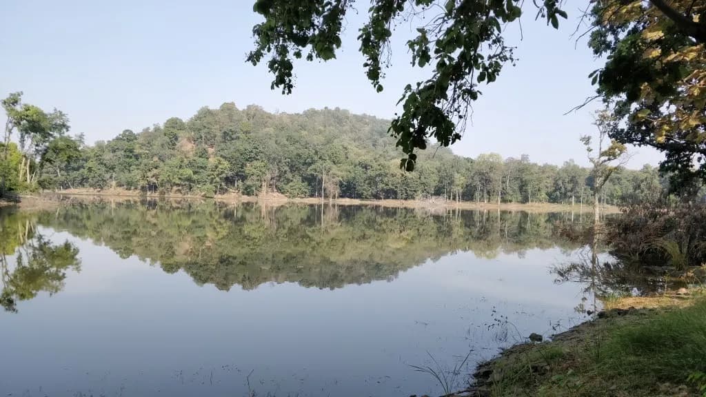 Navegaon Nagzira Tiger Reserve destination photo 3