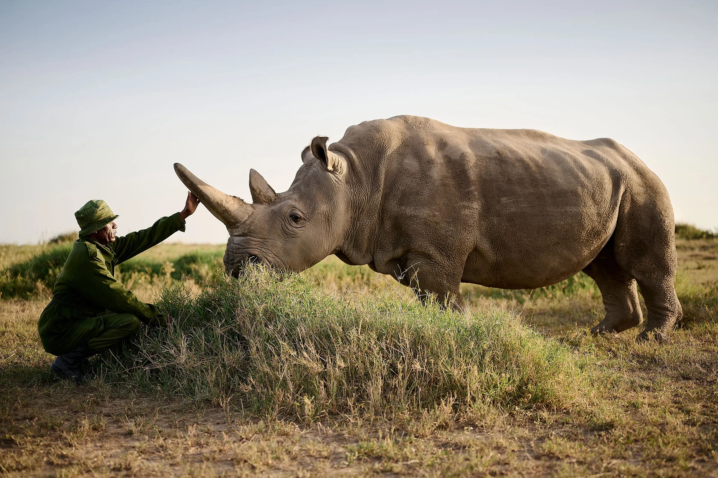 Ol Pejeta Conservancy Safari destination photo 2