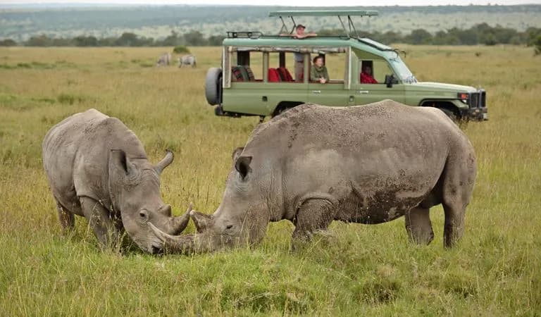 Ol Pejeta Conservancy Safari destination photo 1