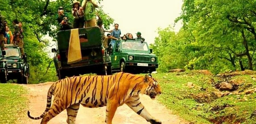Pench Tiger Reserve destination photo 1