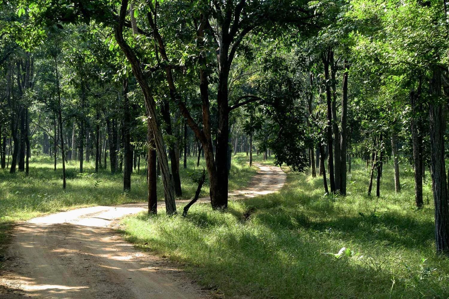 Pench Tiger Reserve destination photo 3