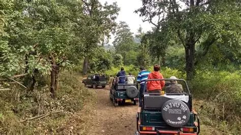 Rajaji National Park destination photo 2
