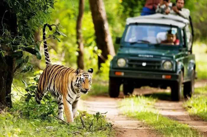Rajaji National Park destination photo 1