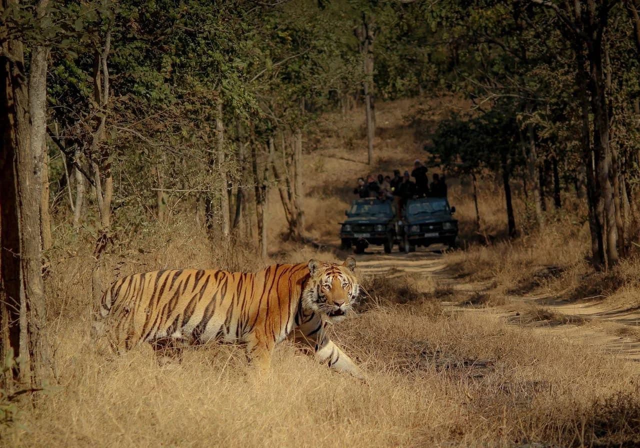 Sanjay Dubri National Park destination photo 1