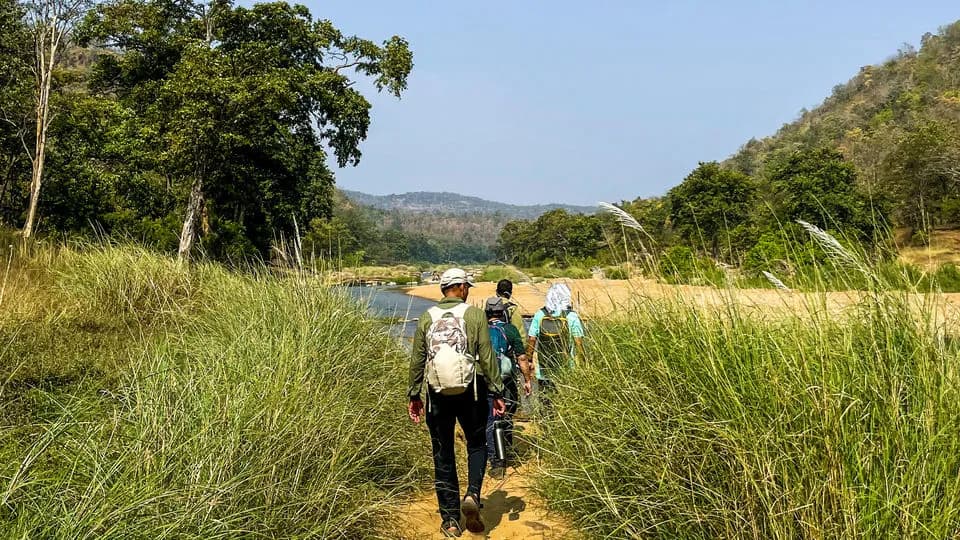 Satpura Tiger Reserve destination photo 2