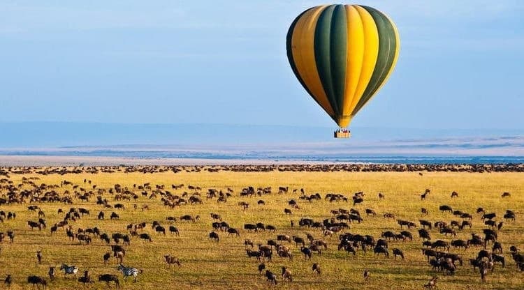 Serengeti National Park destination photo 3