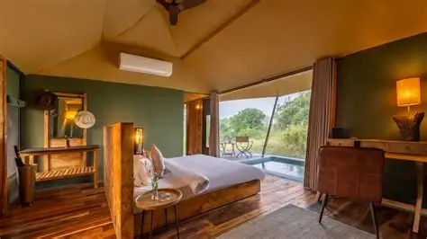 Tadoba Andhari Tiger Reserve Safari visual card