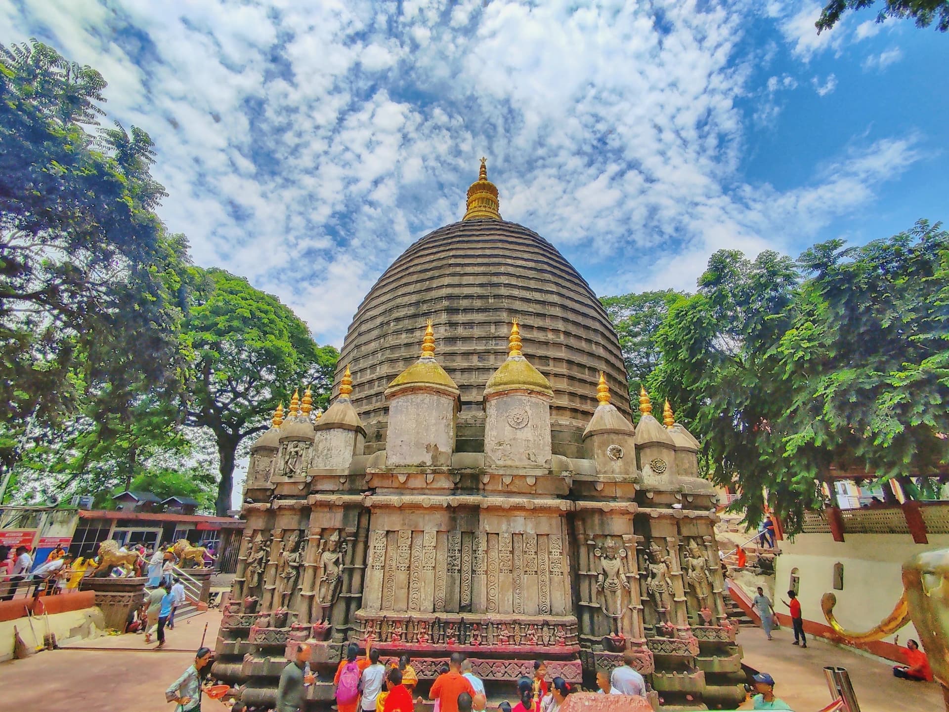Assam Tour destination photo 2