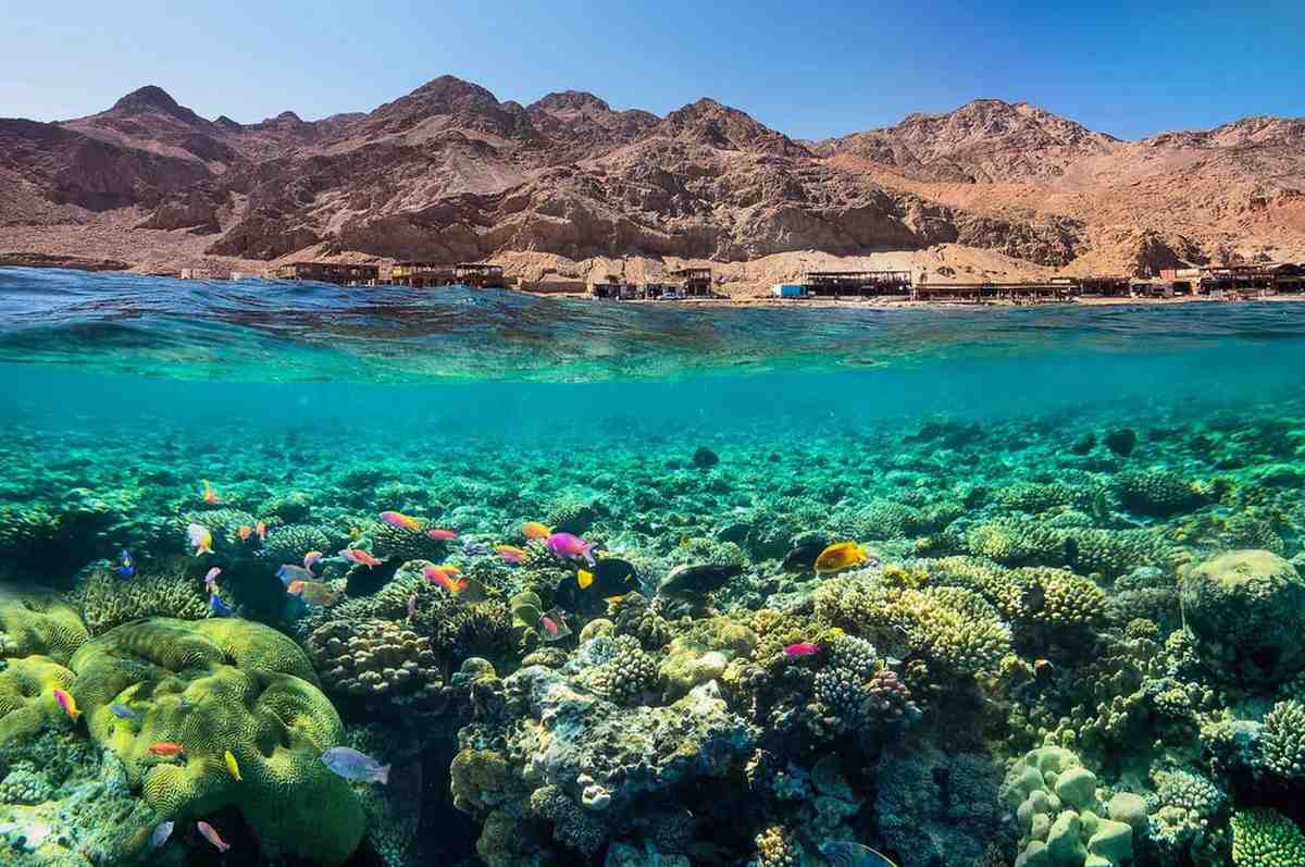 Egypt Red Sea Tour Package FAQ visual