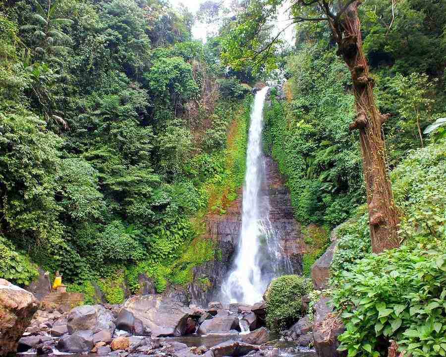 Bali Indonesia Tour Package visual card
