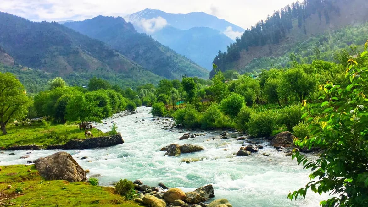 Kashmir Tour Package FAQ visual