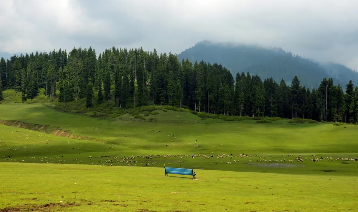 Kashmir Tour destination photo 3