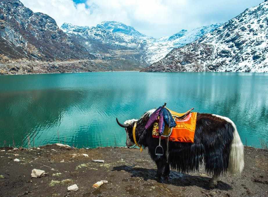 Sikkim destination photo 2