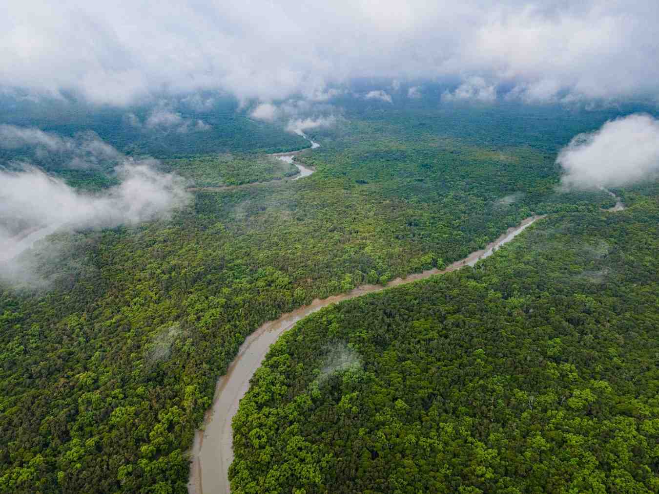 Sundarban destination photo 1