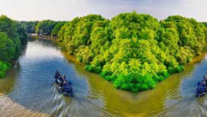 Sundarban destination photo 2
