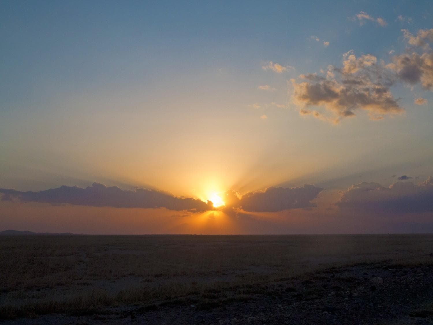 Amboseli National Park Safari signature view