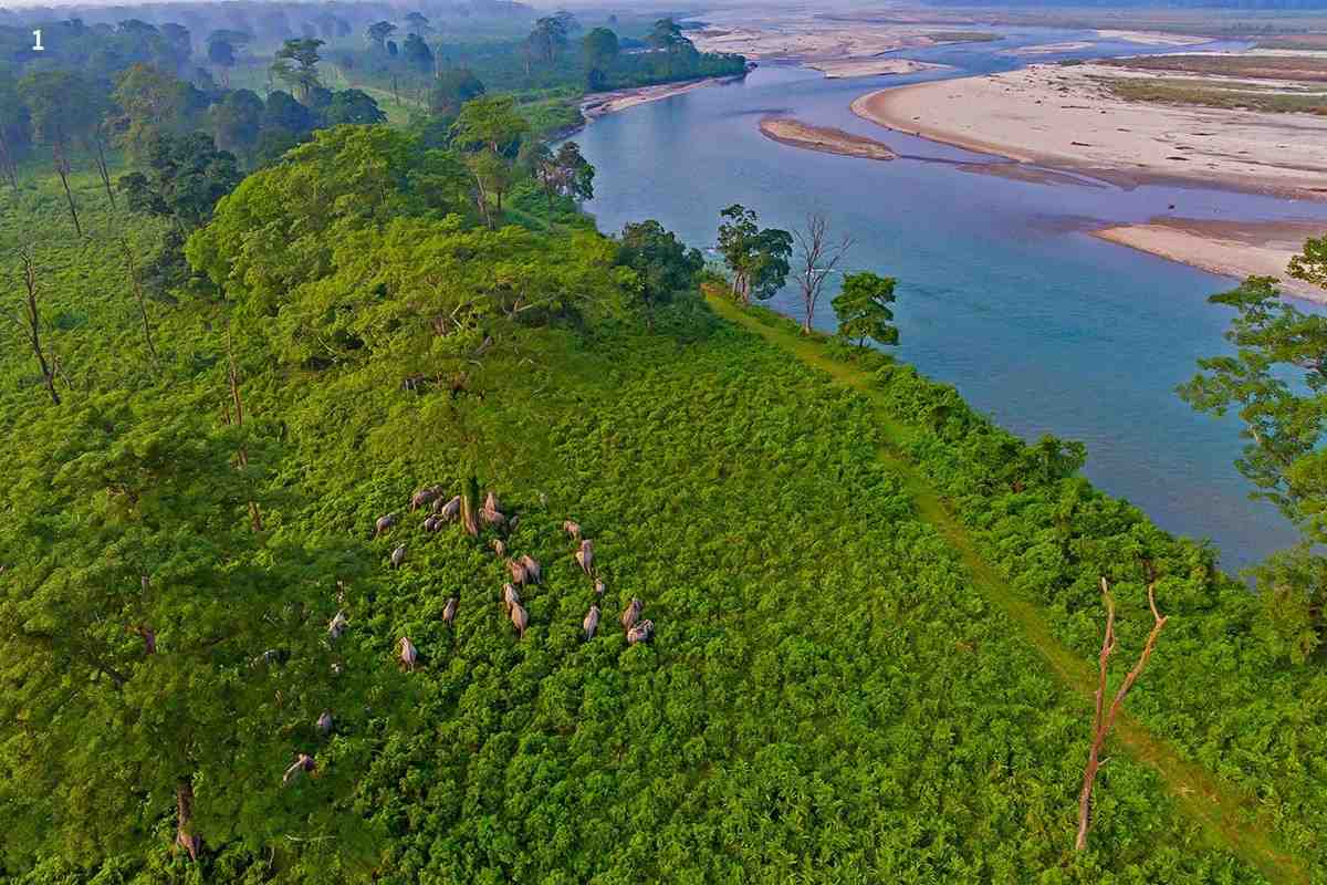 Jaldapara Jungle Safari visual 1