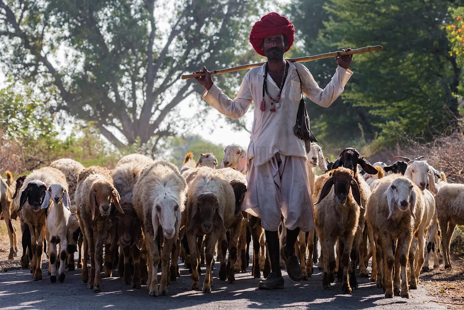 Rabari Village